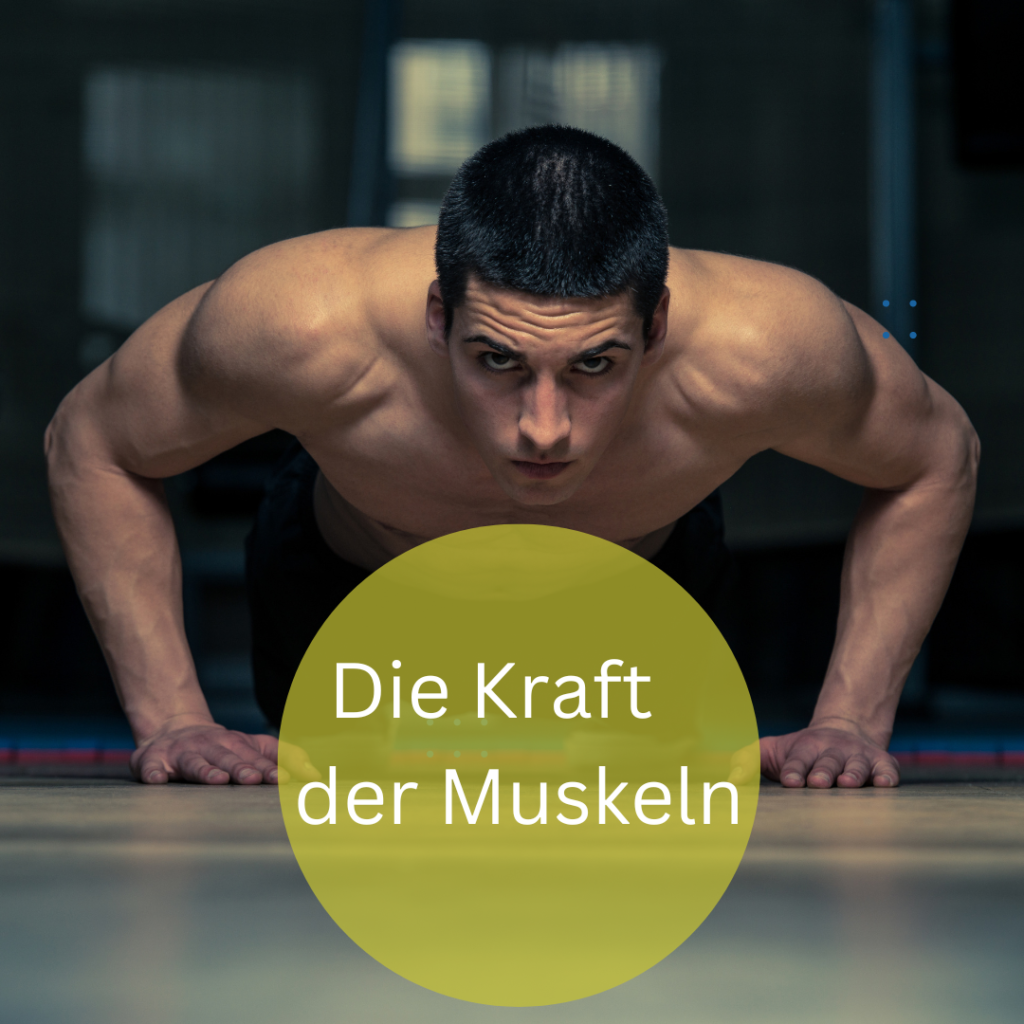 DIE KRAFT DER MUSKELN