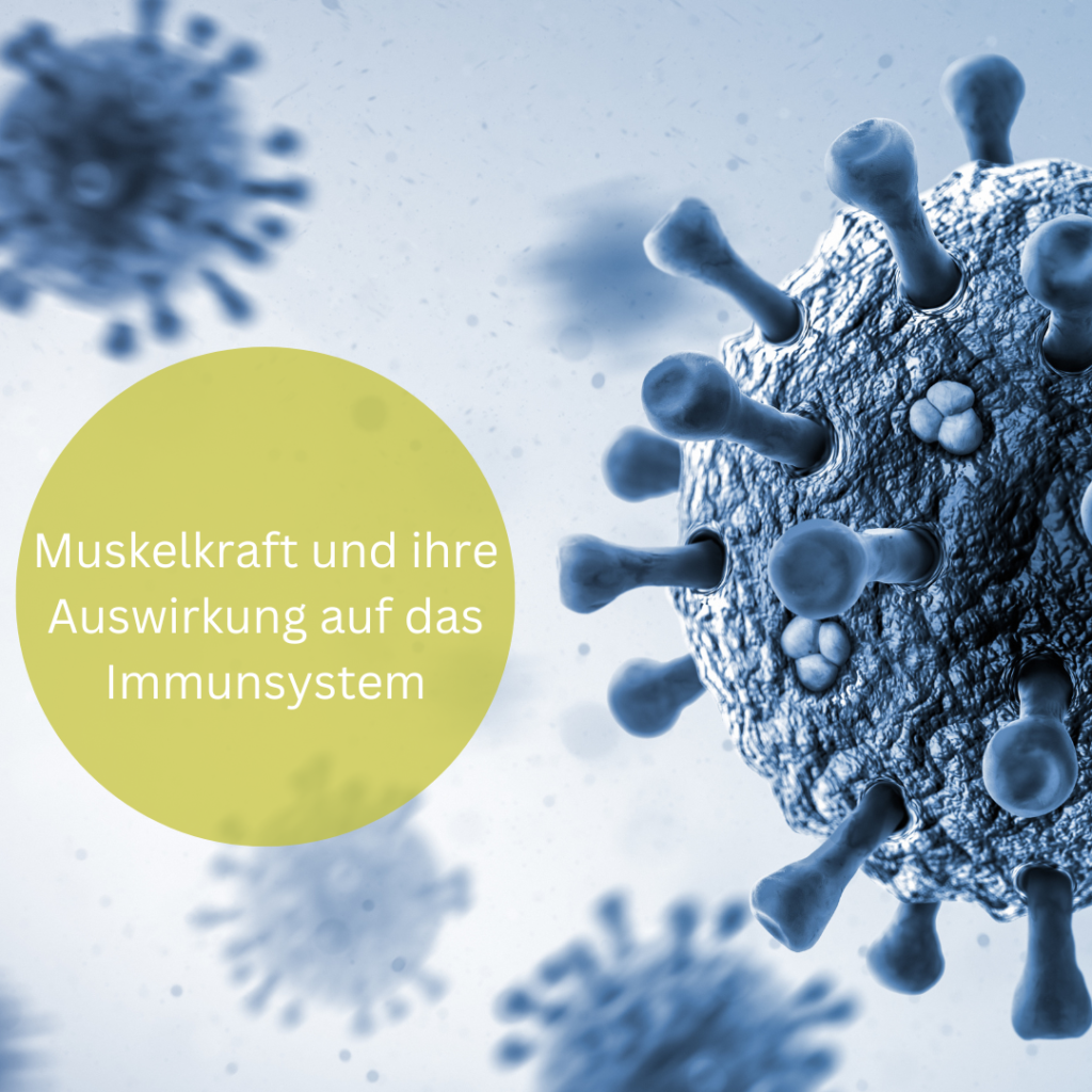 MUSKELKRAFT UND IHRE AUSWIRKUNGEN AUF DAS IMMUNSYSTEM