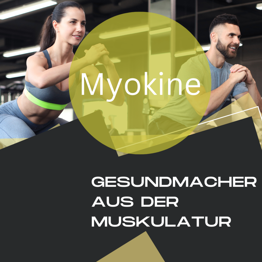 MYOKINE - GESUNDMACHER AUS DER MUSKULATUR