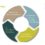 Public Health Action Cycle