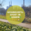 Kassenanerkannter Gesundheitssport in Linden 🏃‍♂️‍➡️🤸🏋️🧘‍♀️🌱