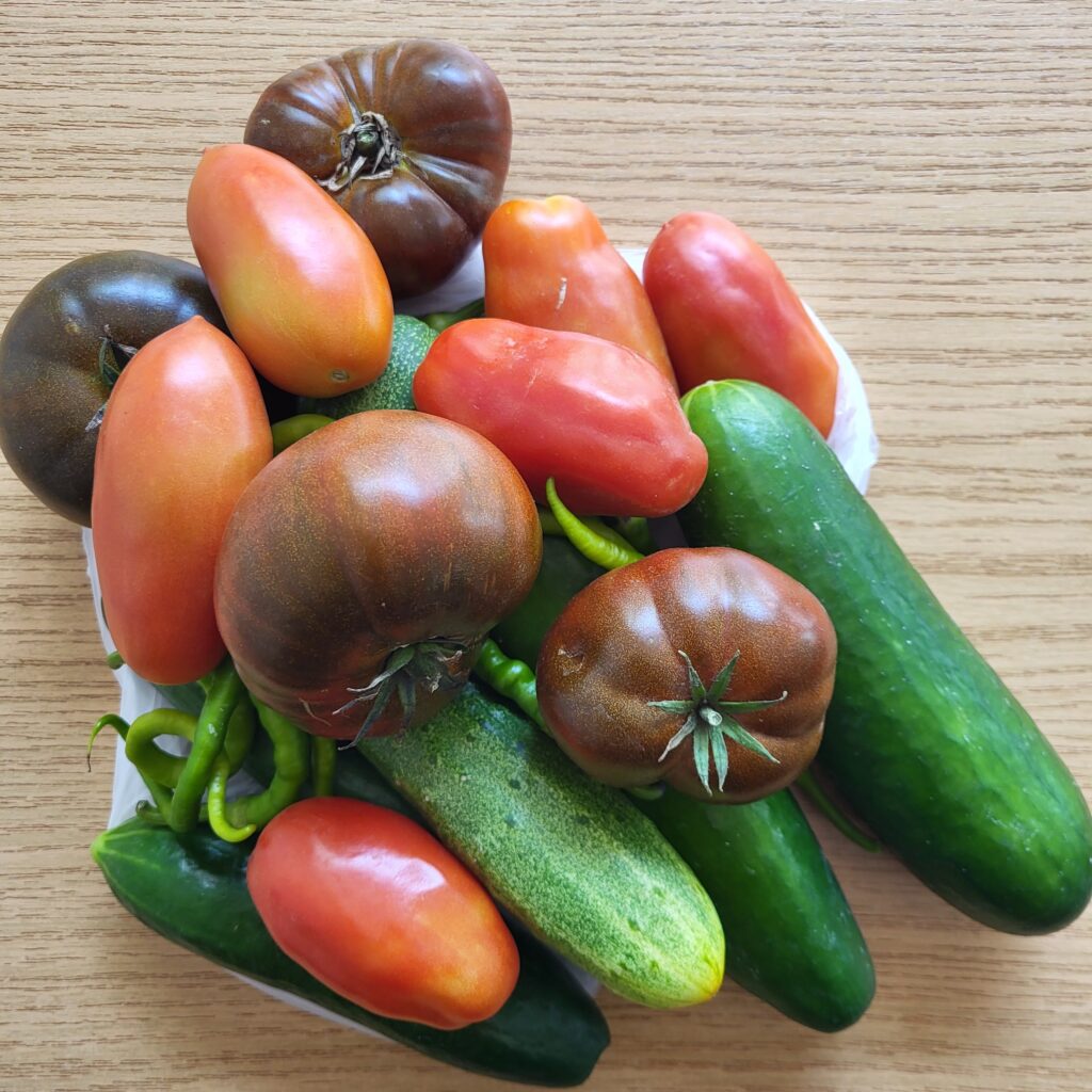 Glück entsteht oft in der Aufmerksamkeit für die kleinen Dinge. 🌱🍅🥒